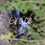 Grace: An Update