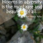 Grace….The Lessons Keep Going