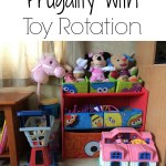 Frugality with Toy Rotation