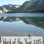 Word of the Year 2015 {Peace} Check-In