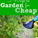 5 Ways to Garden for Cheap