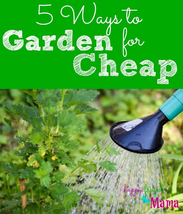 Gardening is thought to be frugal but can get expensive if you aren't careful. Here are five ways to help keep gardening costs down and to garden for cheap.