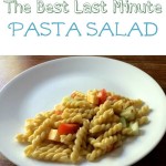 The Best Last Minute Pasta Salad