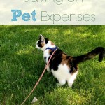 Saving Money on Pet Expenses