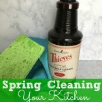 Spring Cleaning Your Kitchen